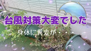 🌹【ガーデニングVlog台風対策して身体に異変】