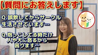 愛犬のどうして？どうすれば？に答えます【№104】質問解答動画