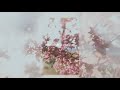 BTS (방탄소년단) 소우주 (Mikrokosmos) - Music Box Edition