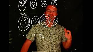 Understanding Sampling Methods (Simple Random, Stratified, Cluster) | Intro to Statistics (6)