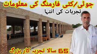 katti , jhoti farming information / How to start katti farm in Pakistan