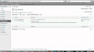 Wordpress Tutorial #2 - Navigating the Admin Dashboard