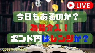 【FXライブ】今日もあるのか？為替介入 ドル円・ポンド円ともレンジからの・・「リットラトレード（トラリピ風）」＆「ポンド円・1万円から始めるハイレバトレード （仮）」＋雑談　10/25/2022