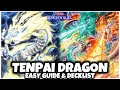 TENPAI DRAGON | EASY GUIDE & DECKLIST! (New Best Deck)