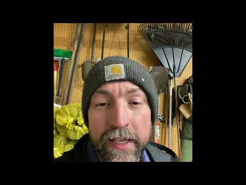 How many bags of pellets equal a cord of wood?