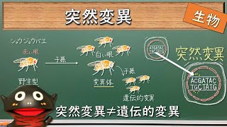 突然変異が生じたからと言って遺伝的変異になるとは限らない【010生物】新課程対応