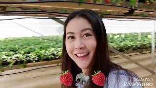 I went to Strawberry Chang Farm