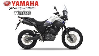 YAMAHA XT660Z TENERE TESTRIDE/REVIEW