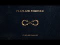 flatland cavalry if we said goodbye official audio