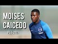 Moisés Caicedo - 10 Cópias de Base e Stats! (Brighton) PES 2018/21