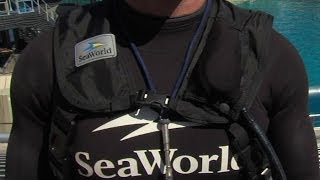 SeaWorld trainers now wearing new safety 'air vests'