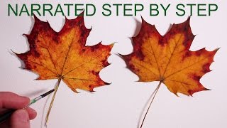 How to Draw a Leaf: Narrated Step by Step