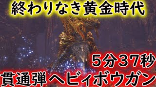 【MHWI】マムタロト　貫通弾　5分37秒