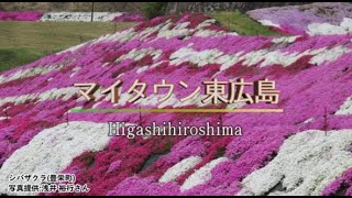 ケーブルテレビ「マイタウン東広島」広報紙5月号(1)令和4年5月2～8日放送