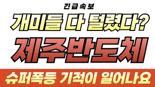 제주반도체 주가 전망, 개미들 다 털렸다!슈퍼폭등 기적이 일어나요!