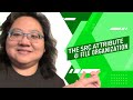 Coding for Beginners: Website Images #2— The src attribute and how to be organized with media files
