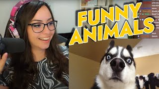 Bunny REACTS to (IMPOSSIBLE) TNTL - FUNNY ANIMAL COMPILATION!