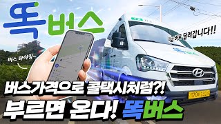 부르면 달려오는 버스가 있다? 🚌💨💨 똑똑해서 '똑'버스 인가 봄!