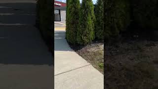 Would I Turn Your Head Shortsfeed Comedy Public