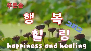 [감성힐링 ㆍEmotional healing]#행복한 힐링 #연꽃#거북이#Happy Healing#Lotus#turtle