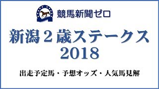 「新潟２歳ステークス2018」出走予定馬・予想オッズ・人気馬見解