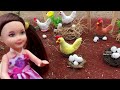 கோழி பண்ணைக்கு போய் கோழி வாங்க போறோம் barbies buying hens and eggs classic barbie show