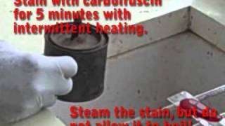 Preparing an Acid-Fast Stain using the Ziehl-Nielsen Method - Multi-Lingual Captions