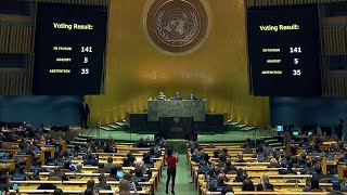 UN General Assembly 'demands' Russia withdraw from Ukraine | AFP