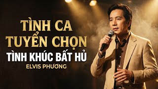 Liên Khúc Mười Năm Tình Cũ, Bài Không Tên Số 5 - ELVIS PHƯƠNG