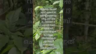 മൂന്ന് ഏക്കർ 40 സെന്റ് സ്ഥലം 40 ലക്ഷം രൂപക്ക്