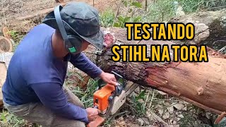 Stihl Ms 250 afiada para cortar árvores | testando motosserra Stihl no tronco.