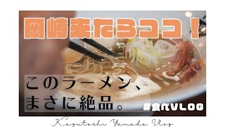 【激うまラーメン】 愛知県岡崎市のラーメンが絶品すぎた！ 【自家製麺  公園前】