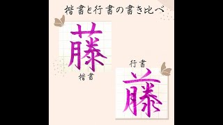 【硬筆・ペン習字】「藤」（楷書と行書）の書き方と練習のコツ・お手本・見本（ボールペン字/書道）