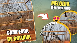 😍 FUI CAMPEAR COM O GOLINHA MELODIA! (Será que ele cantou?)