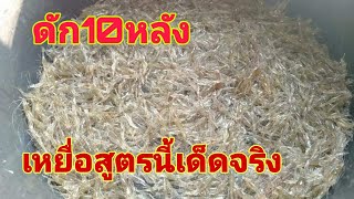 ดักกุ้งฝอยด้วยเหยื่อสูตรนี้ไม่เคยผิดหวัง 10หลัง 2กิโลHow to trap shrimp