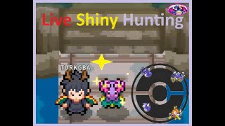 Live Shiny hunting in PokeMMO odds 1/30000 !