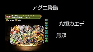 【パズドラ】　究極カエデ攻略　アグニ降臨