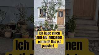 Ich habe einen Anti-AfD-Aufkleber entfernt! Das ist passiert…