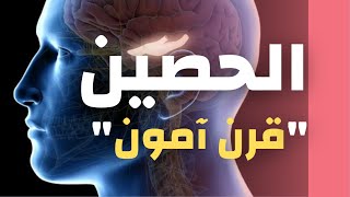 تعرف على وظائف الحصين في الدماغ (من اهم مناطق المخ)