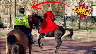 POLICE OFFICER RUSHES TO HELP SPOOKED HORSE