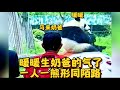 Dad came from Malaysia to see it, but the giant panda Nuannuan ignored him！痛心！暖暖生马来奶爸的气了，也不理奶爸了。