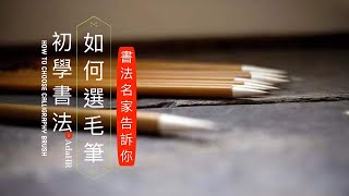 初學書法,如何選毛筆︱毛筆應該用軟毫、硬毫還是兼毫？書法名家告訴你！書法用具︱ 書法 Calligraphy