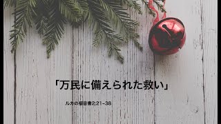 「万民に備えられた救い」ルカ2:21~38（2024.12.29礼拝）