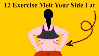 12 Exercise Melt your Side Fat | love handles workout | Equipment No Needed