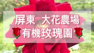 【Pingtung｜Play】Grand Blossom Grange