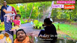 നാടൻ ഭക്ഷണം എല്ലാം എളുപ്പത്തിൽ | Simple veg curry | Lunch | snacks | Wide Vlogs | A day in my life