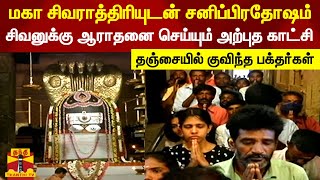 மகா சிவராத்திரியுடன் சனிப்பிரதோஷம்..!சிவனுக்கு ஆராதனை செய்யும் அற்புத காட்சி | Maha Shivaratri