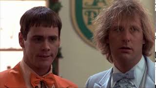 Dumb and Dumber - Hang by the bar. Put out the vibe.