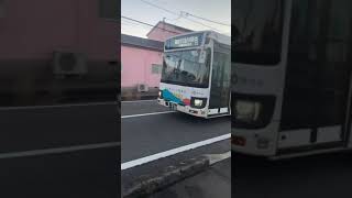 〔お久しぶりの遭遇〕静鉄バス 新型日野ブルーリボン（藤枝市ラッピング）藤枝吉永線 (JR藤枝駅経由) 藤枝市立病院行き