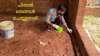 ചിതൽ/Termite Pest Control Treatment